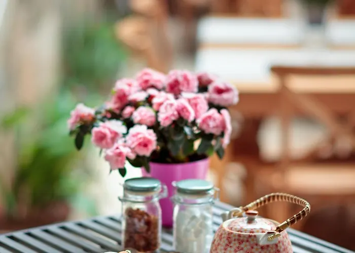 Hotel Jardi De Ses Bruixes Boutique 5*