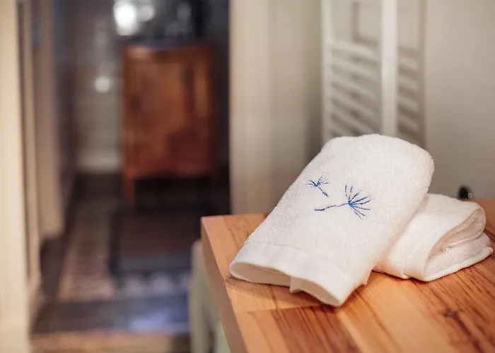 Jardi De Ses Bruixes Boutique Mahón